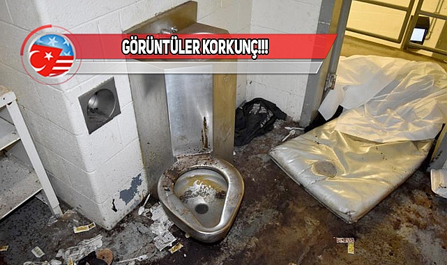 Georgia'da Haşerelerin Yediği Mahkum Öldü