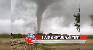 Hollywood Plajı'nda Korku Dolu Anlar