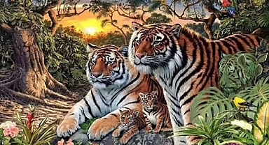 Ne kadar zeki olduğunuzu öğrenmek ister misiniz?