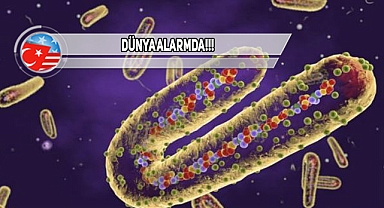 Seyahatinizi Erteleyin! Yeni Virüs Kapıda!