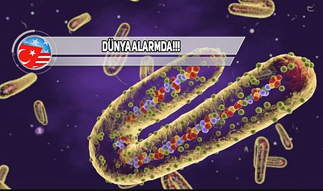Seyahatinizi Erteleyin! Yeni Virüs Kapıda!