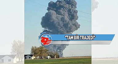 Texas'ta Bir Mandıradaki Yangında 18 Bin İnek Öldü