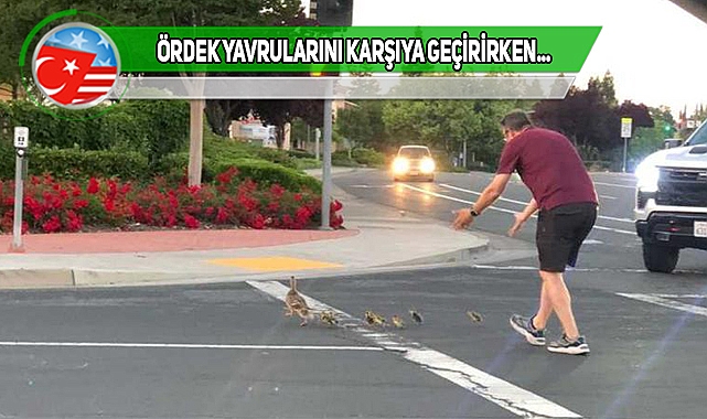 Californialı Adam İyiliğini Canıyla Ödedi!