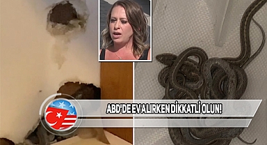 Colorado'da Satın Aldığı Evi Yılanlar Sarmış!