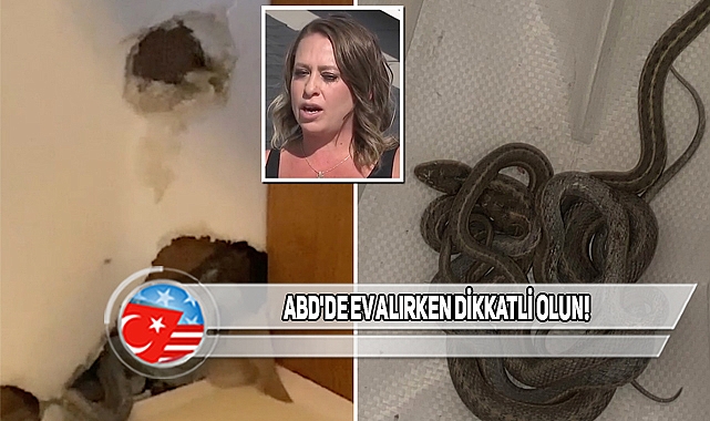 Colorado'da Satın Aldığı Evi Yılanlar Sarmış!