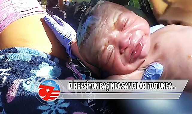 Florida'da Polis Bir Kadına Araçta Doğum Yaptırdı