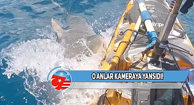 Hawaii'de Balık Tutan Kişiye Köpekbalığı Saldırdı