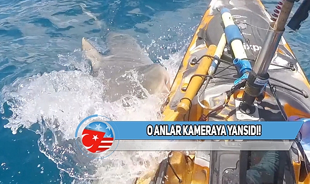 Hawaii'de Balık Tutan Kişiye Köpekbalığı Saldırdı