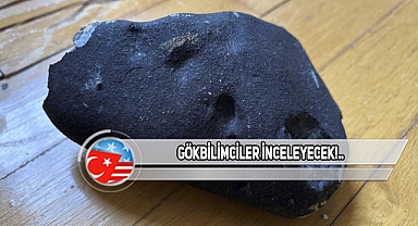 New Jersey'de Bir Evin Çatısına Göktaşı Mı Düştü?