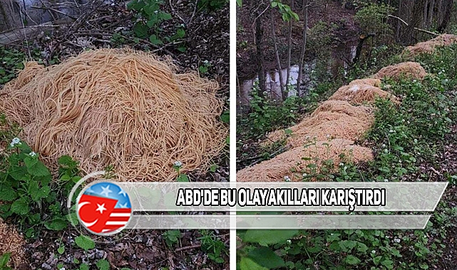 NJ'de Ormana 230 Kilo Spagetti Neden Bırakıldı?