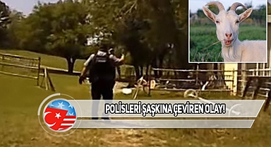 Oklahoma'da Polis Yardım Çığlığına Koştu Ne Çıktı!