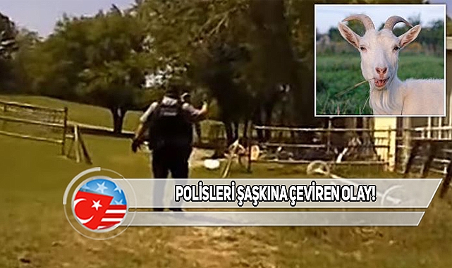 Oklahoma'da Polis Yardım Çığlığına Koştu Ne Çıktı!