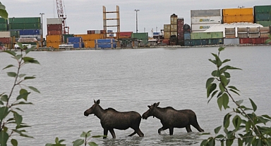 ABD Kutup Bölgesinde İlk Derin Deniz Limanına Kavuşuyor. 