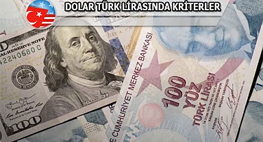 Bank of America, TL alım Kriterleri