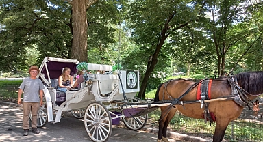 Central Park'ta Faytonculuk Yapan Türkler