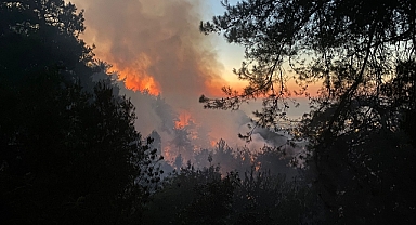 Türkiye'de Orman Yangınları