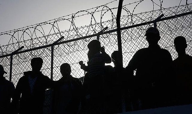 ABD'de Antiloplar İçin Açılan Kapı Göçmenlerin Geçiş Yolu Oldu