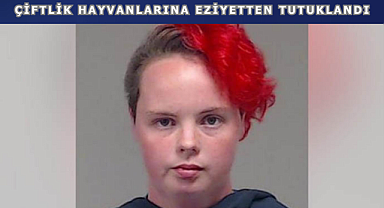 Hayvan Zulmünün Böylesi!