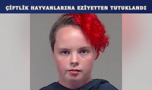 Hayvan Zulmünün Böylesi!