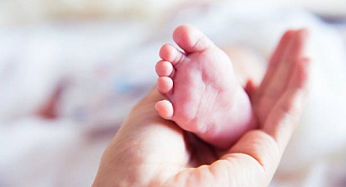 ABD'de Gündüz Bakımevinin Servisinde Unutulan Bebek Hayatını Kaybetti