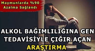 Alkol Bağımlılığına Gen Tedavisiyle Çığır Açan Araştırma: