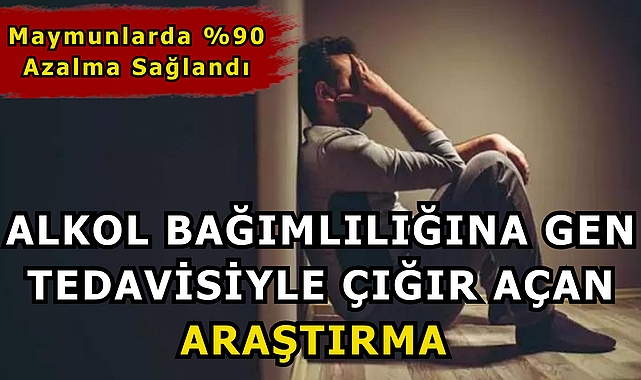Alkol Bağımlılığına Gen Tedavisiyle Çığır Açan Araştırma: