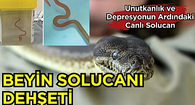 Beyin Solucanı Dehşeti