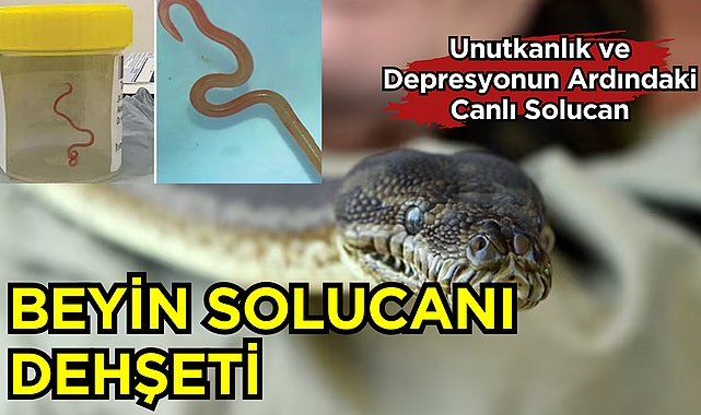 Beyin Solucanı Dehşeti