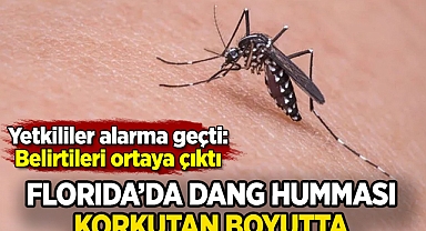 Dang humması Florida'da alarma neden oldu: Belirtileri ortaya çıktı!