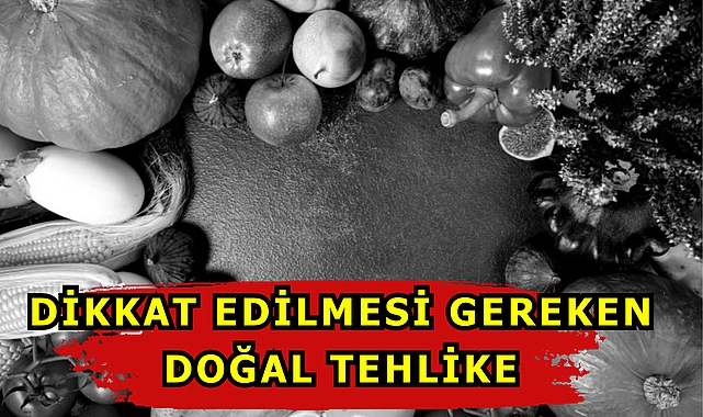 Dikkat Edilmesi Gereken Doğal Tehlike!