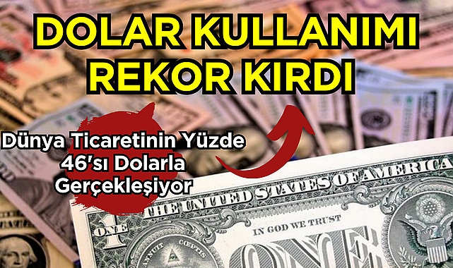 Dolar Kullanımı Rekor Kırdı