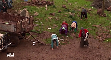 Dört ayak üzerinde yürüyen aile bilim insanlarını şaşırtıyor: Onlar 'var olmamalı'