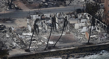 Hawaii'deki orman yangınında ölü sayısı 106'ya yükseldi