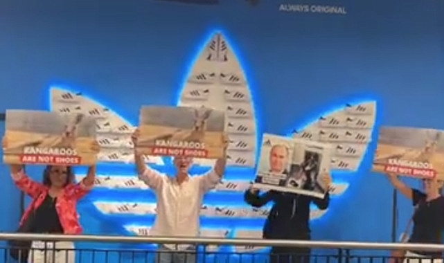 Hayvan hakları savunucularından Adidas'a protesto: Onların bedeni size ait değil
