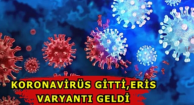 Koronavirüs gitti, ERİS varyantı geldi!