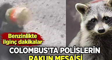 Polisler Columbus'taki benzinlikte rakun için seferber oldu