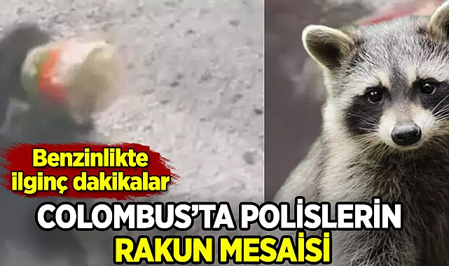 Polisler Columbus'taki benzinlikte rakun için seferber oldu