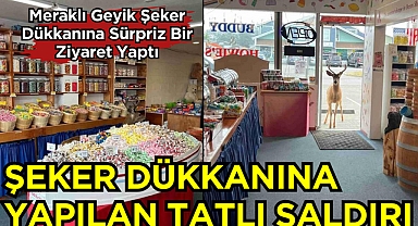 Şeker Dükkanına Yapılan Tatlı Saldırı