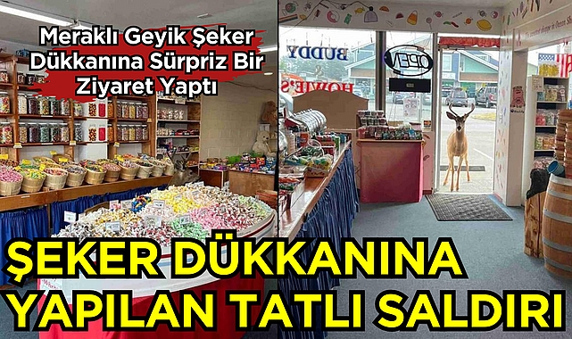Şeker Dükkanına Yapılan Tatlı Saldırı