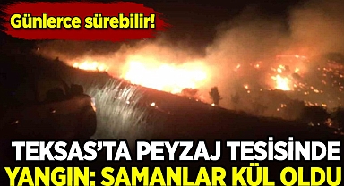 Teksas'ın Houston kentinde yangın: Tesisteki samanlar kül oldu