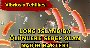 Vibriosis Tehlikesi