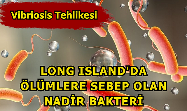 Vibriosis Tehlikesi
