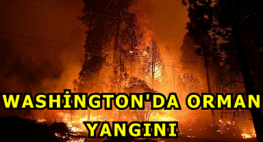 Washington'da Orman Yangını