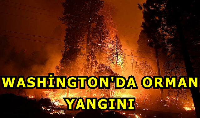 Washington'da Orman Yangını