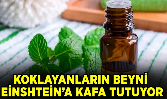 Bilim İnsanlarından Çarpıcı Bulgular