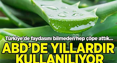 Çöpe Gitmekten Kurtulan Aloe Vera Kabukları, Tarımı Dönüştürüyor