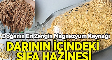 Darının İçindeki Şifa Hazinesi