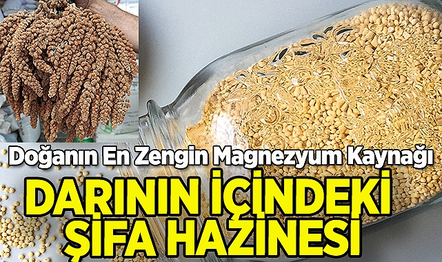 Darının İçindeki Şifa Hazinesi