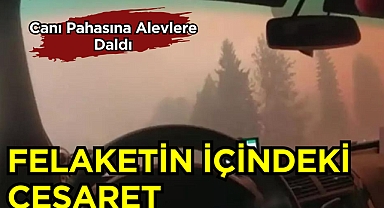 Felaketin İçindeki Cesaret