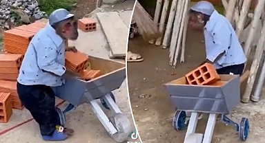 İnşaat işçiliği yapan maymunun görüntüleri sosyal medyada büyük ilgi gördü